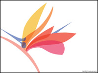 wallpaper based on the flower-logo