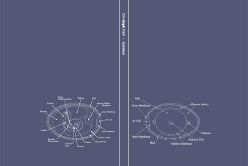 a blue-green sleeve with whit line drawings