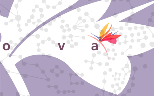 "designnova" appears