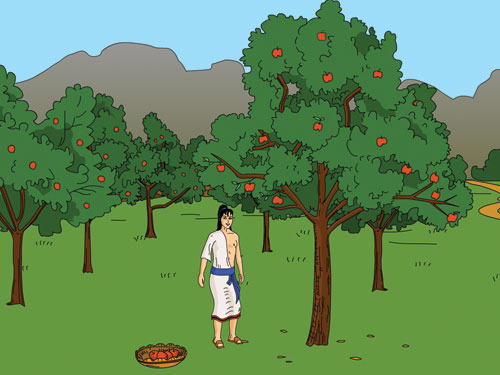 A tall handsome boy is standing under an apple tree